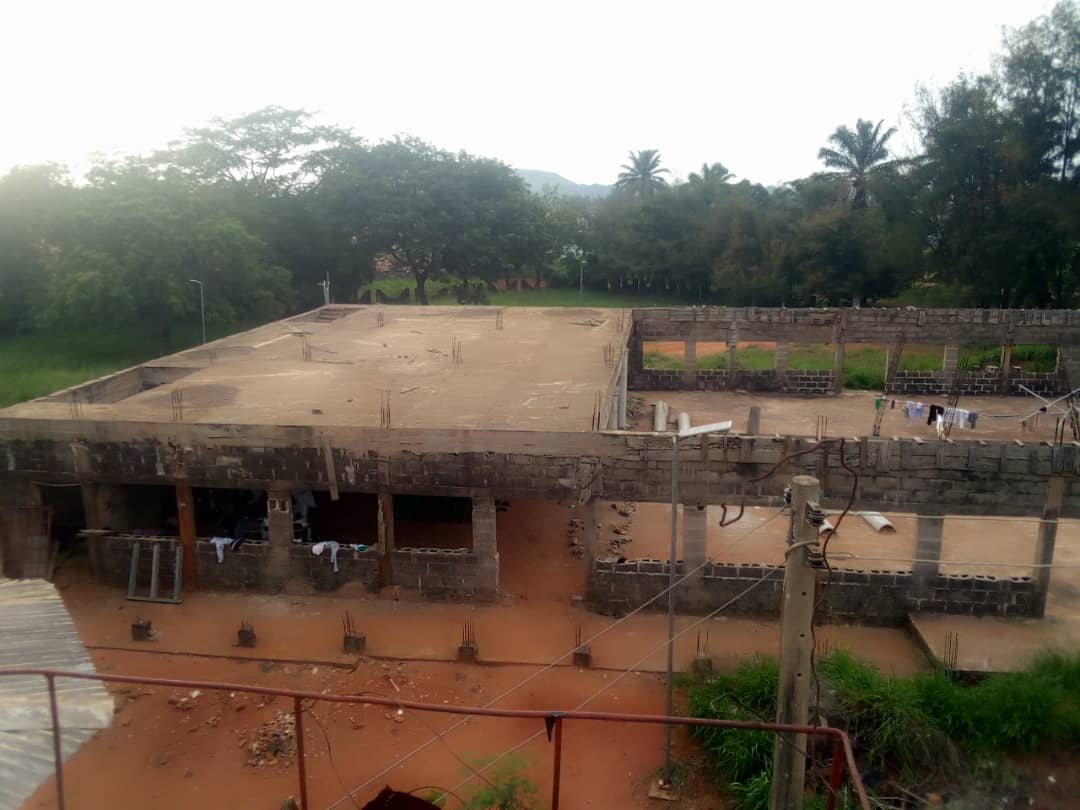 Roofing & Exterior (Upcoming)